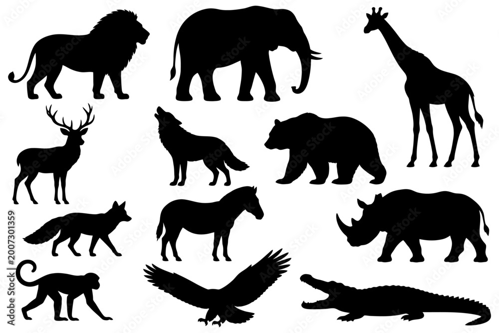 Obraz premium Silhouette collection of diverse wild animal species.