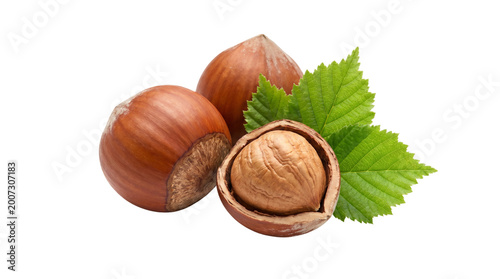 Fresh organic hazelnuts with green leaves, whole brown filbert nuts in shells, raw forest hazelnut kernels for healthy snacking and baking isolated PNG with Transparent Background