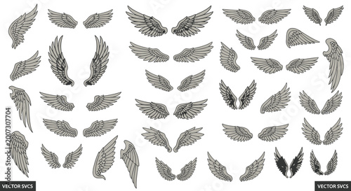 Obraz na płótnie Collection of various grey feather designs.