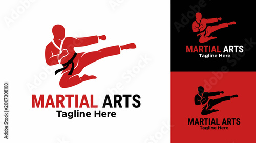 Photos A striking martial artist is depicted in motion, performing a high kick, representing strength, agility, and precision in martial arts training and competition