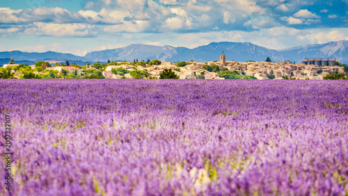 Canvastavla Hilltop Puimoisson village, France