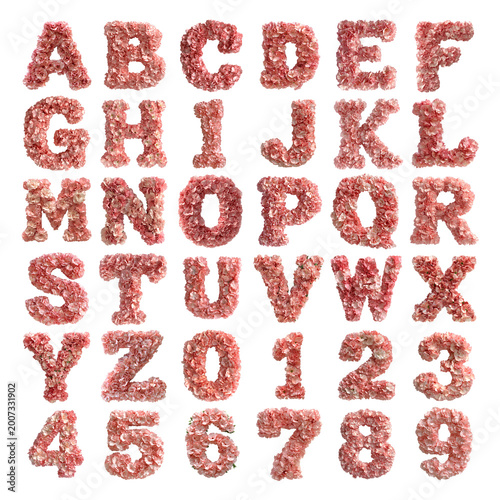 Carnation Flowers shaped letters and numbers isolated on a white transparent background