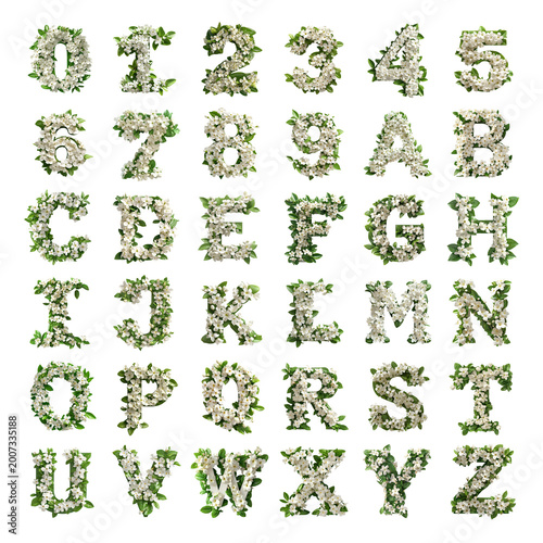 Jasmine shaped letters and numbers isolated on a white transparent background