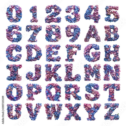 Hydrangea shaped letters and numbers isolated on a white transparent background