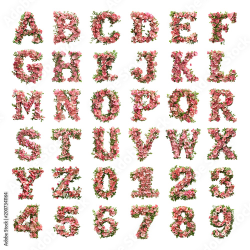 Snapdragon flowers shaped letters and numbers isolated on a white transparent background