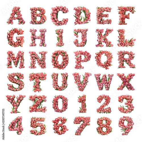 Tulip flowers shaped letters and numbers isolated on a white transparent background