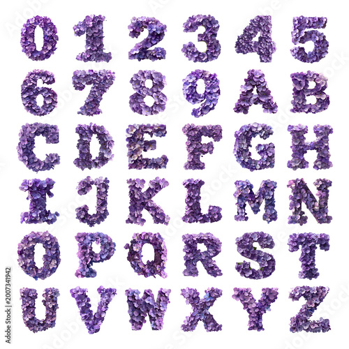 Violet flowers shaped letters and numbers isolated on a white transparent background