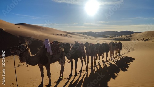 Schilderij op canvas Minimalist Sahara sand dune ridge under clear blue sky in Morocco