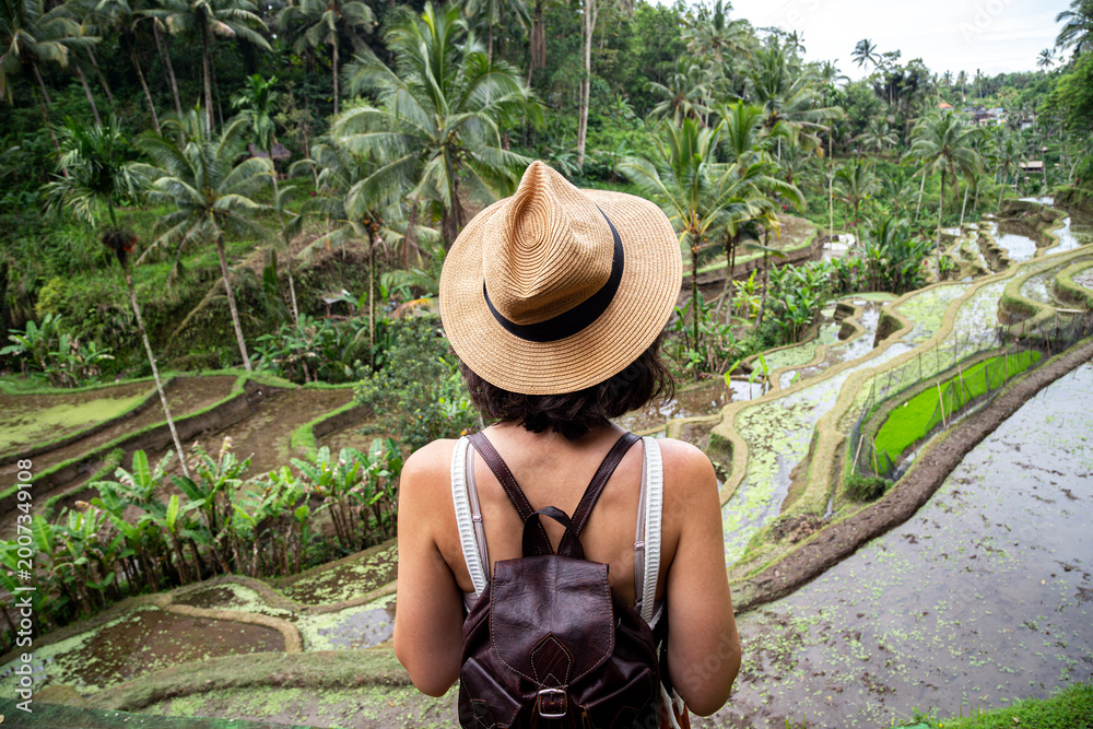 Obraz premium Traveler exploring tegalalang rice terrace in bali indonesia