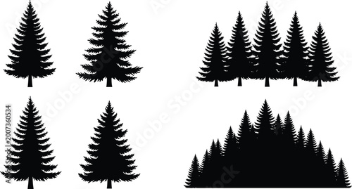 Billede på lærred Pine tree silhouettes set with single fir trees and forest groups isolated on wh