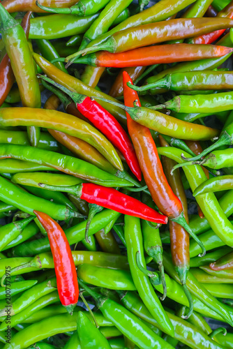Fresh chilies or chili peppers background. Spicy vegetable. Also called Mirchi or Paprika.