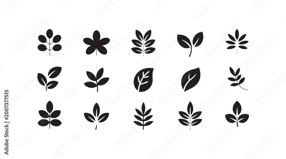 Fototapeta premium Set of various minimalist leaf icons, simple plant outlines, collection of foliage shapes.