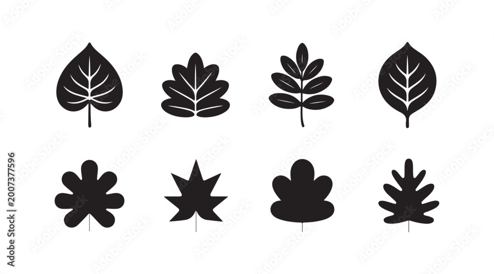 Obraz premium Set of black leaf silhouettes on transparent background for creative botanical nature design project.