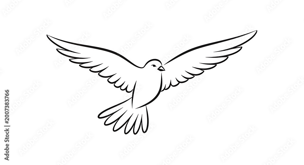 Fototapeta premium Minimalist black line of a bird in flight with detailed wing feathers wings outline