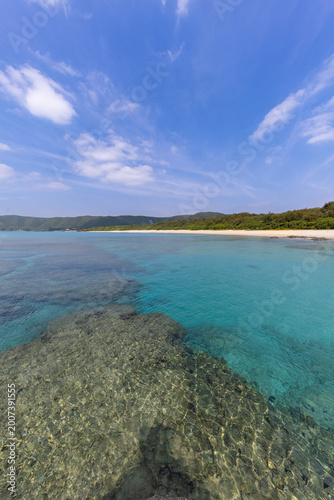 奄美大島　赤尾木東海岸