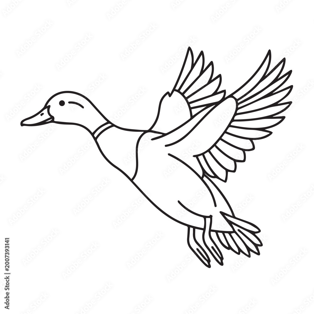 Obraz premium Minimalist Line Art Illustration of a Flying Duck.