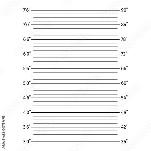 Police lineup height chart backdrop for mugshot photography. Height scale for crime-themed design projects, legal infographics, and cinematic promotional materials