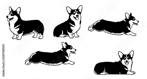 Foto Black and white corgi illustrations a collection of playful poses