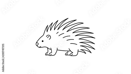 Fotografia Elegant porcupine vector icon with an editable stroke, perfect for branding