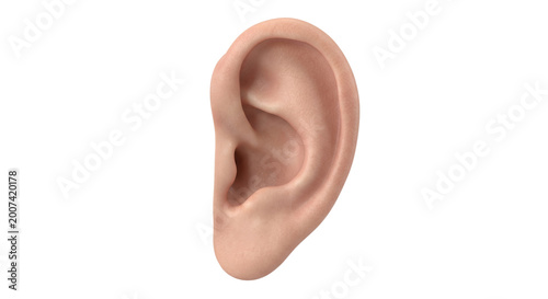 Foto Detailed human ear anatomy on transparent background