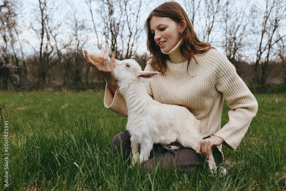 Naklejka premium A woman sits in a grassy field feeding a young goat, enjoying a calm countryside moment with a playful bond, outdoor life and natural light