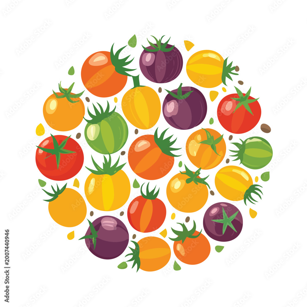 Obraz premium Colorful tomato variety arranged in a circular pattern on white background