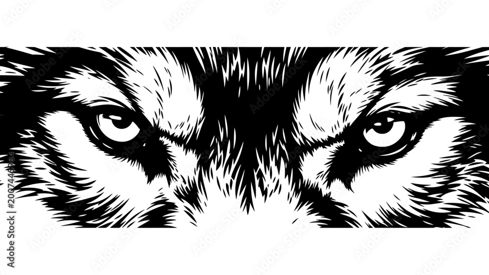 Obraz premium Intense Wolf Eyes, Fierce Gaze, Black and White Graphic Art