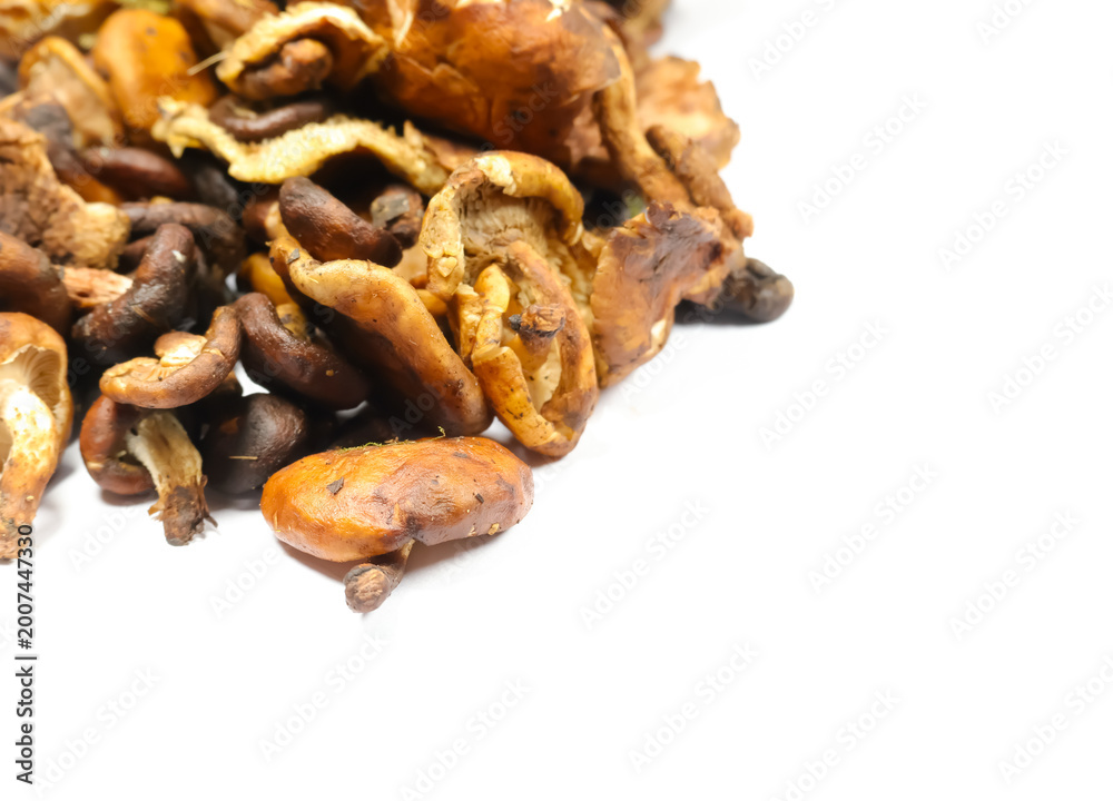 Obraz premium Fresh forest manipur mushroom(uyen) isolated on white background.Shiitake mushroom (Lentinula edodes) often dried and used in Manipuri cuisine for dishes like Eromba (chutney) and Kanghou (stir-fry).