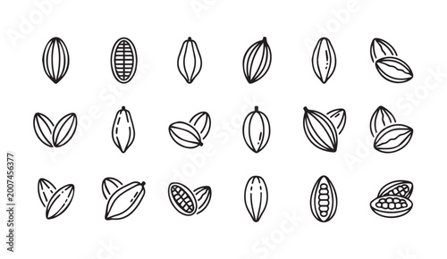 Collection of hand drawn cacao pods and beans in outline on white background