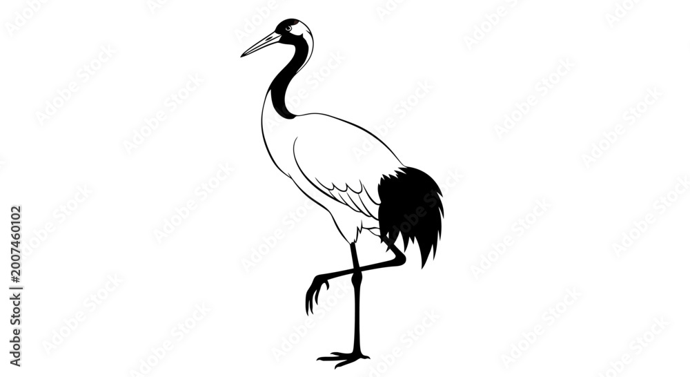 Fototapeta premium A black and white illustration of a crane standing on one leg.
