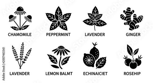 Herbal Ingredients Icons: Chamomile, Peppermint, Lavender, Ginger, Lemon Balm, Rosehip