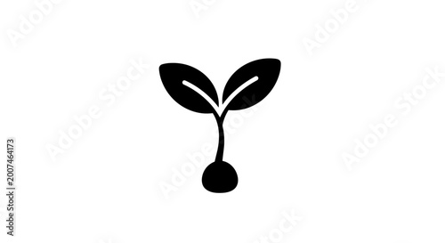Black sprout with two leaves.