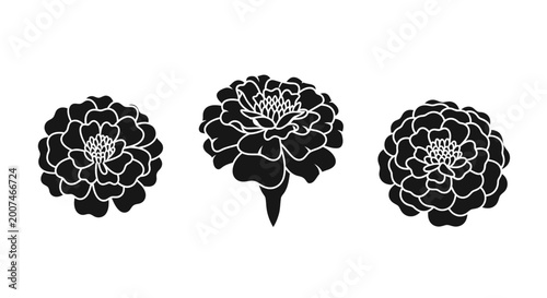 Three Black Silhouettes of Marigold Flowers Isolated on White Background