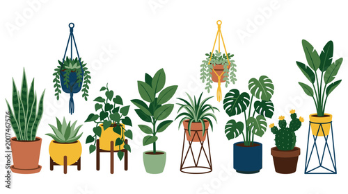 Slika na platnu Houseplants in pots collection vector for interior urban jungle style