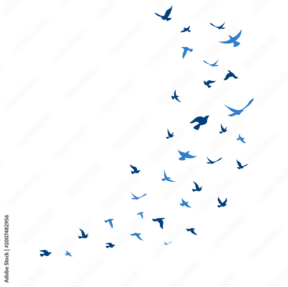 Fototapeta premium World Migratory Bird Day, Flock of Birds Flying