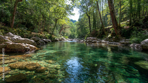 Crystal-clear river flowing through a lush forest, sunlight filtering through trees
