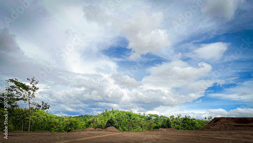 Tableau sur toile Contrast between dense forest and cleared land in deforestation