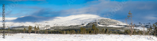 Photography Snow Covered Cairngorm Mountains and Forest Panorama in Scotland