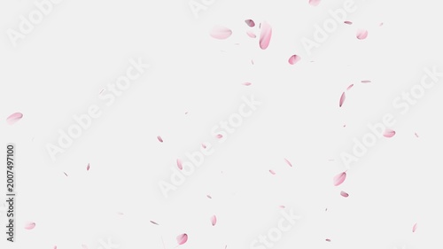 Pink cherry blossom petals falling gracefully on transparent background, Cherry Blossom Transition,
cherry blossom particle animation, alling cherry blossom petals on black background