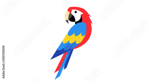 Colorful Macaw Bird Profile View.