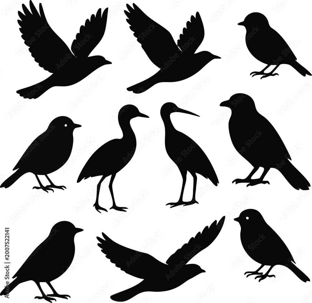 Fototapeta premium Collection of black bird silhouettes each isolated on white