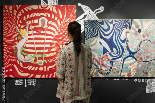 Visitor admiring contemporary art at National Crafts Museum Delhi