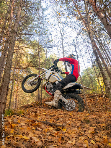 Man motocross rider driving motorcycle through autumn forest. Athlete performing wheelie on dirt bike on fallen leaves. Extreme sport, adventure and off-road driving concept in nature.