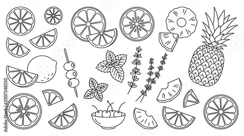 Photos Cocktail garnish and fresh fruit slices line art collection for menu