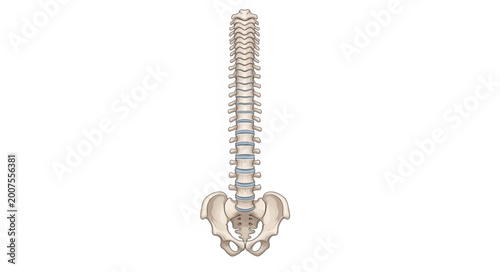 Fotografie Screw with Phillips head closeup.