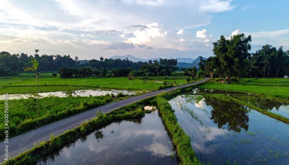 Fototapeta premium Serene Rice Paddy Fields Reflecting the Sky at Sunset.