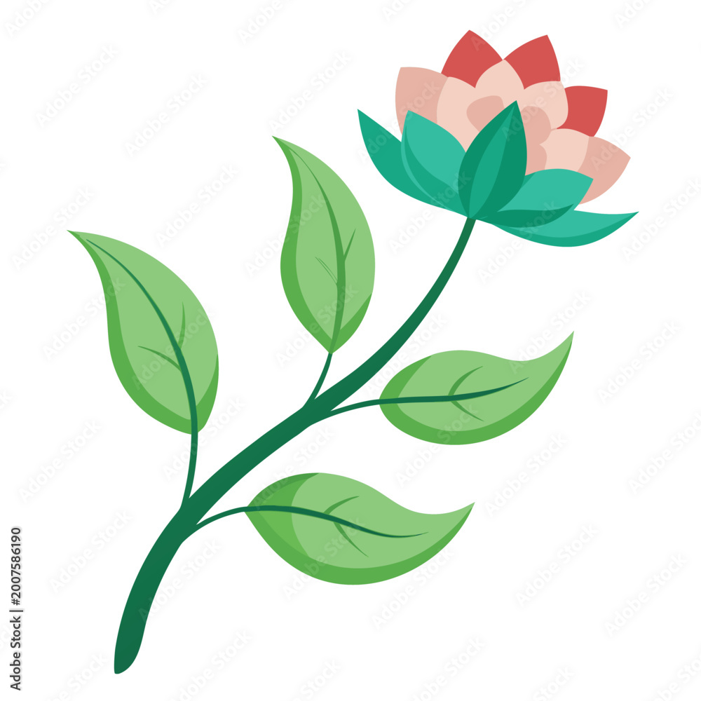 Fototapeta premium amarant grun flower on white background