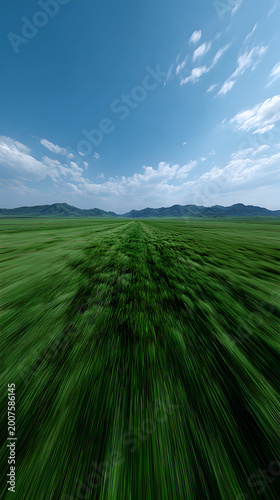 Vast green field under a blue sky with white clouds
