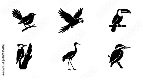 Fotografie a set of vector icons featuring six different bird silhouettes all in black and