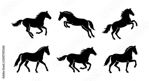 Obraz na płótnie six horse silhouettes black on white background vector art